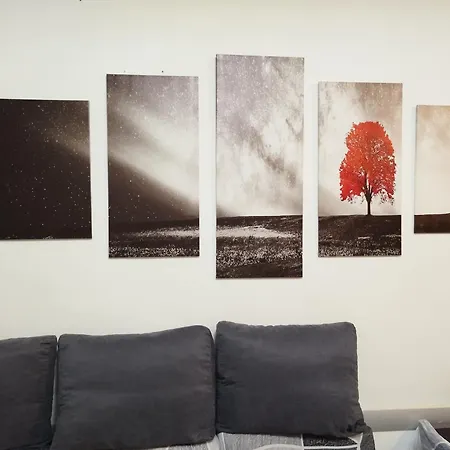 Casa * 바쿠 아비스